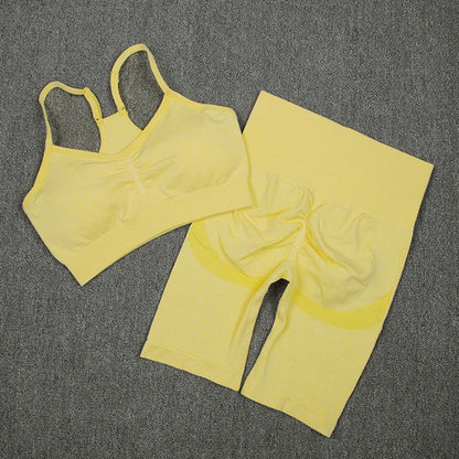 2Pcs Women Sport Suit Gym Set Sexy Bra Seamless Shorts Workout Running Clothing Gym Wear Athletic Yoga Set