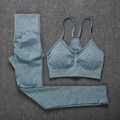 2Pcs Women Sport Suit Gym Set Sexy Bra Seamless Shorts Workout Running Clothing Gym Wear Athletic Yoga Set