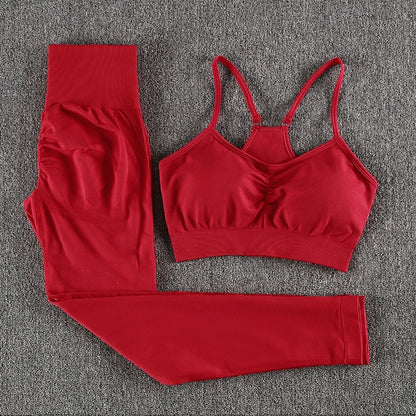 2Pcs Women Sport Suit Gym Set Sexy Bra Seamless Shorts Workout Running Clothing Gym Wear Athletic Yoga Set