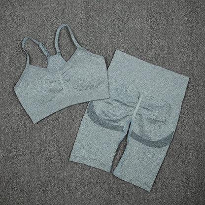 2Pcs Women Sport Suit Gym Set Sexy Bra Seamless Shorts Workout Running Clothing Gym Wear Athletic Yoga Set