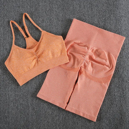 2Pcs Women Sport Suit Gym Set Sexy Bra Seamless Shorts Workout Running Clothing Gym Wear Athletic Yoga Set