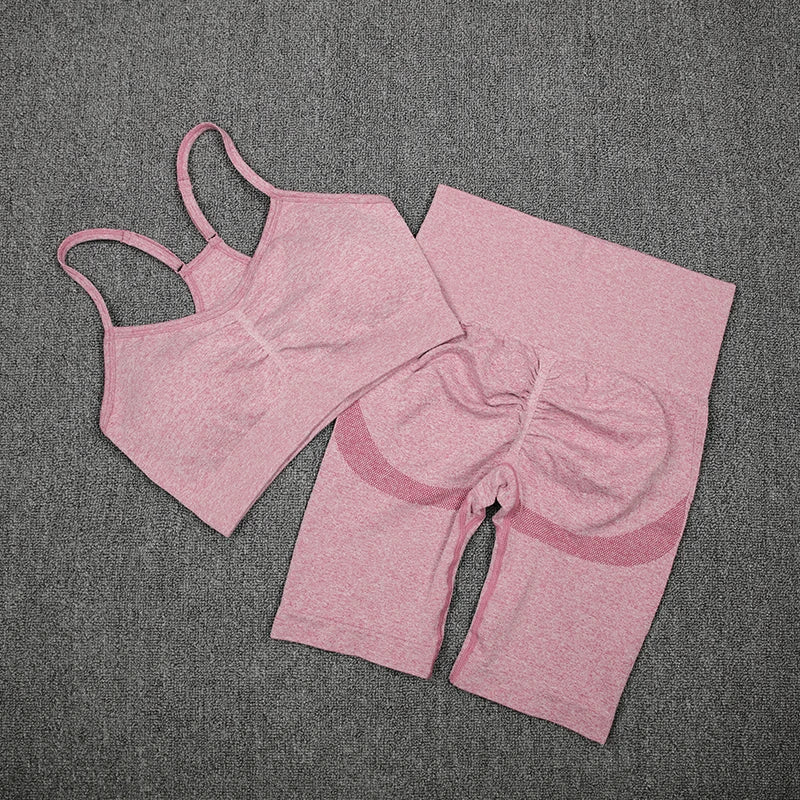2Pcs Women Sport Suit Gym Set Sexy Bra Seamless Shorts Workout Running Clothing Gym Wear Athletic Yoga Set