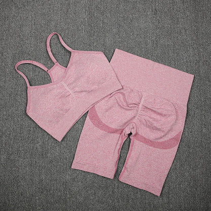 2Pcs Women Sport Suit Gym Set Sexy Bra Seamless Shorts Workout Running Clothing Gym Wear Athletic Yoga Set