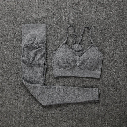 2Pcs Women Sport Suit Gym Set Sexy Bra Seamless Shorts Workout Running Clothing Gym Wear Athletic Yoga Set